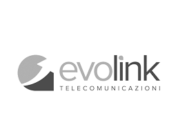 Nasce con l’obiettivo di fornire connettività e telefonia VoIP alle aziende, per aiutarle ad aumentare il livello e la qualità del servizio ed abbattere i costi sfruttando le nuove tecnologie a disposizione.